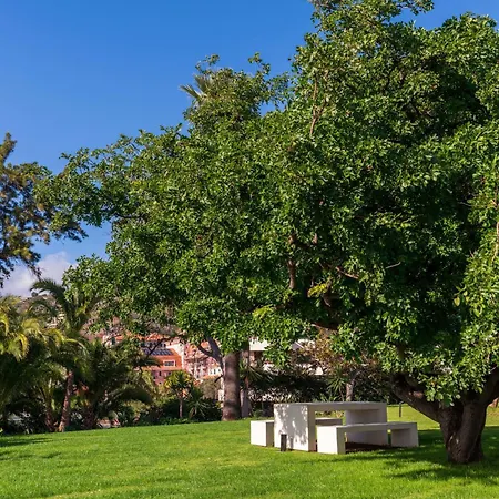 Acqua Vi By An Island